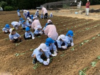 6月になりました