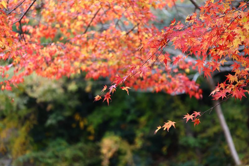 良い夫婦とは