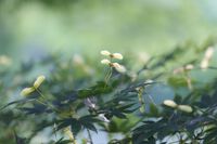 明日水曜日は臨時休業となっております
