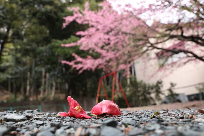 鍋はいつまで？