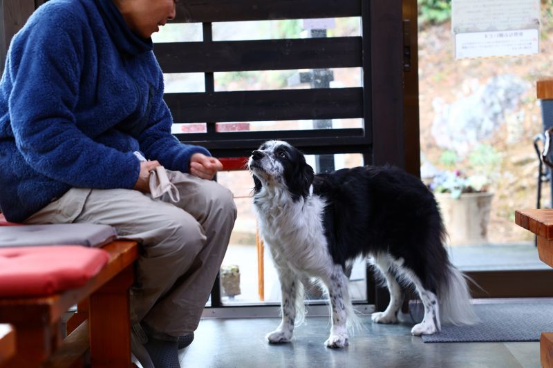 人にお店に歴史あり