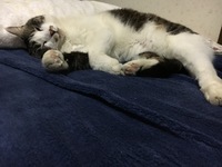 ストレス抱えやすい⁈ 2017/05/26 00:48:42