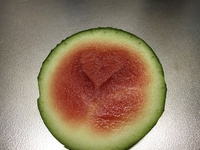 夏バテ