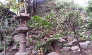 日常・・・