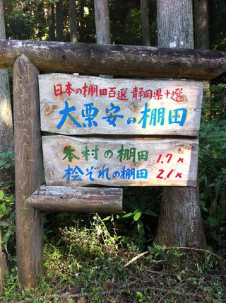 伺います！！