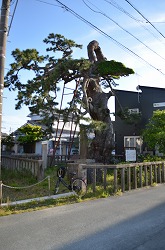 長い道のりでした。