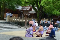 どっこいしょ 2014/07/06 14:39:45