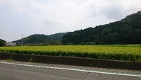 藤川宿通過。 2018/08/04 16:35:06
