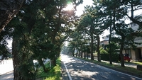 旧東海道松並木を抜けて 2018/07/14 17:19:58