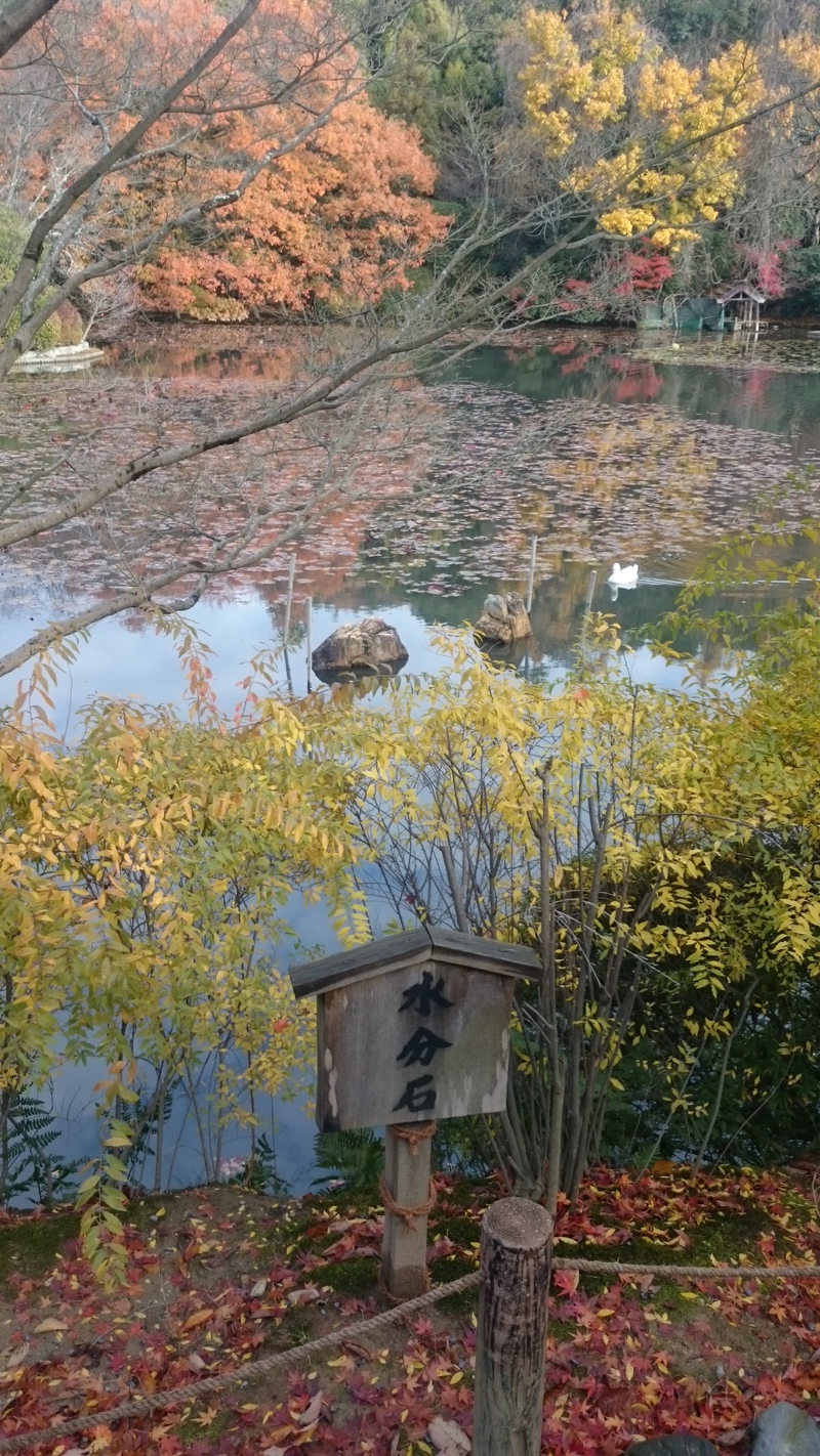 １日目終了