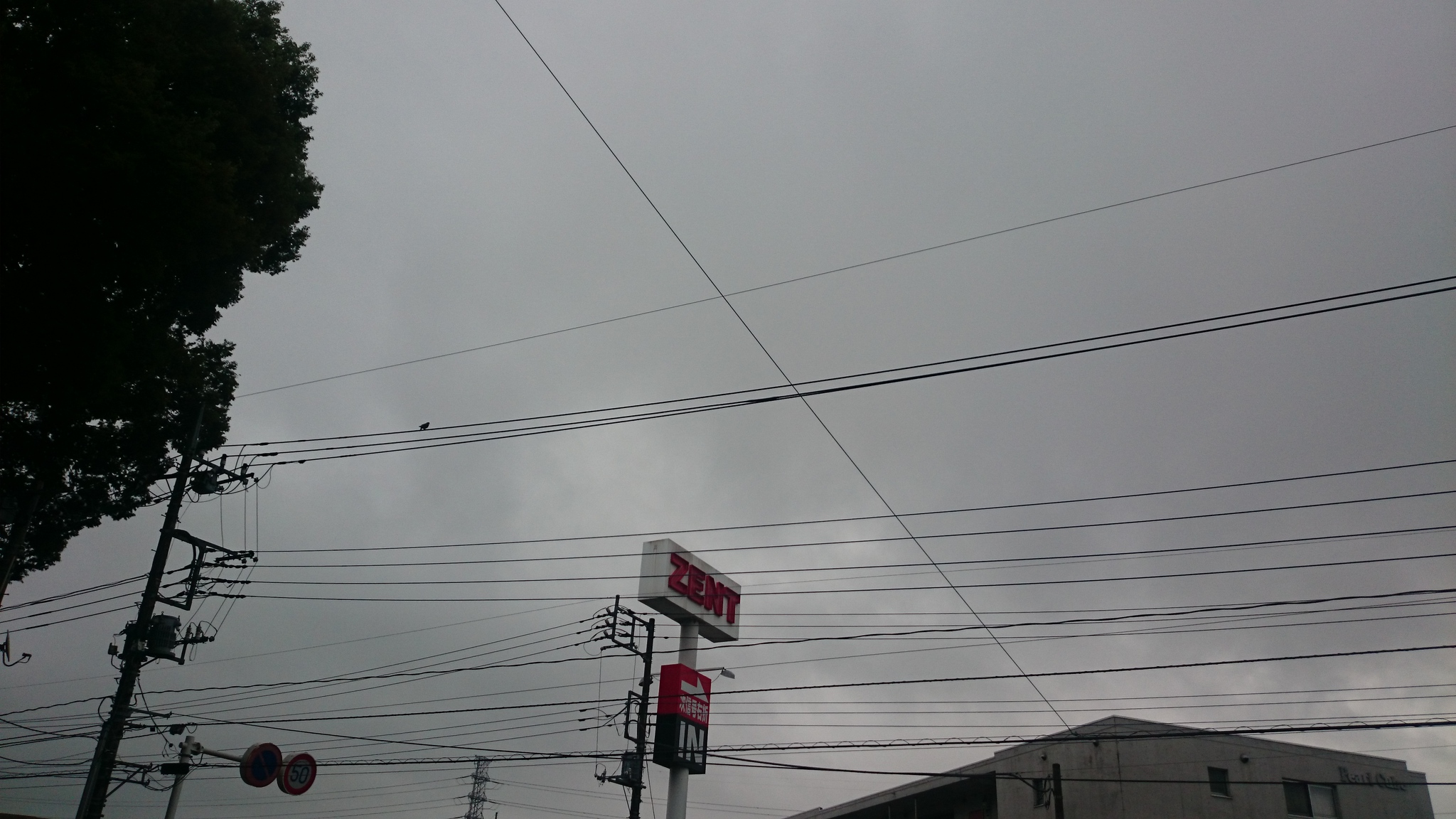 イツモシヅカニワラッテイル