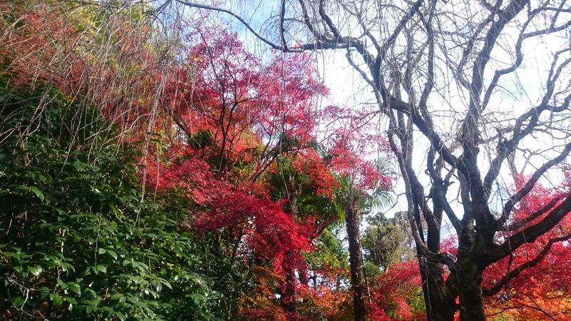 １日目終了
