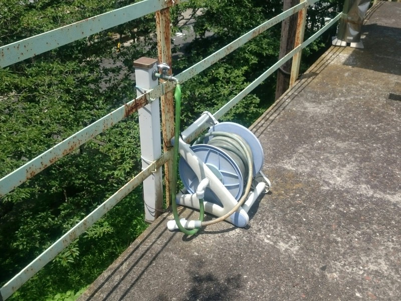 次はさくらぎぃー