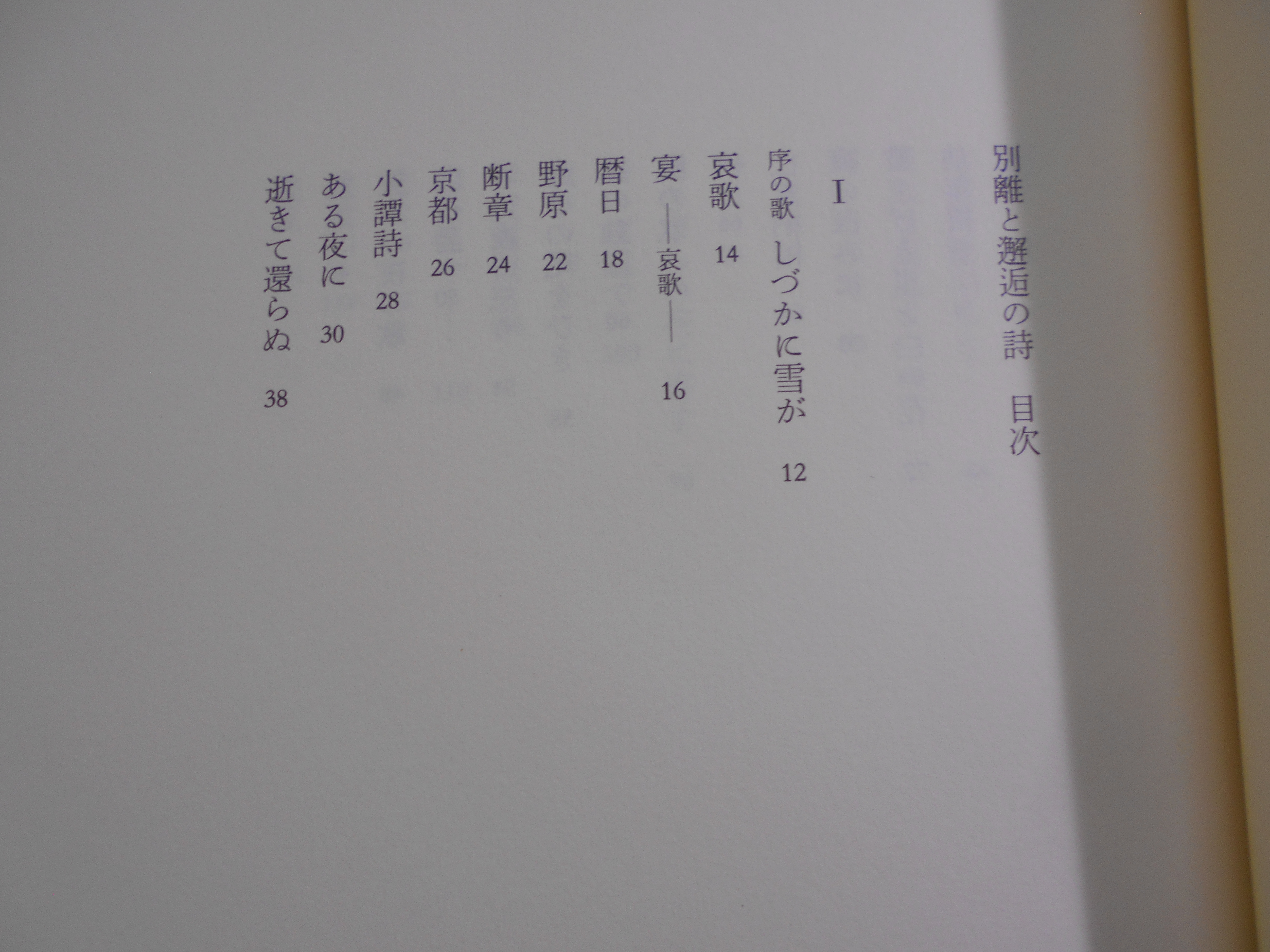 別離と邂逅の詩　堀田善衛　集英社　2001年刊　初版
