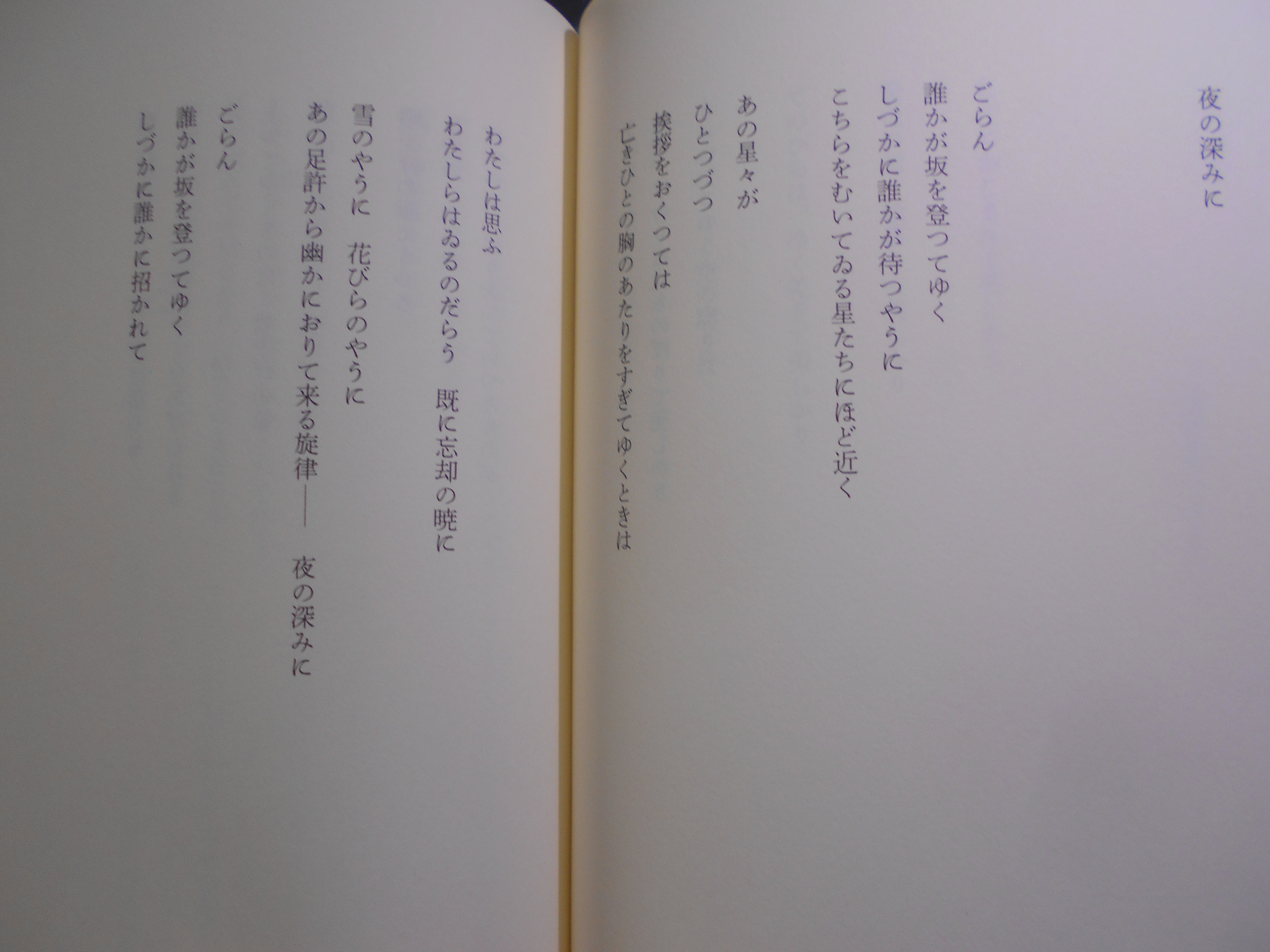 別離と邂逅の詩　堀田善衛　集英社　2001年刊　初版