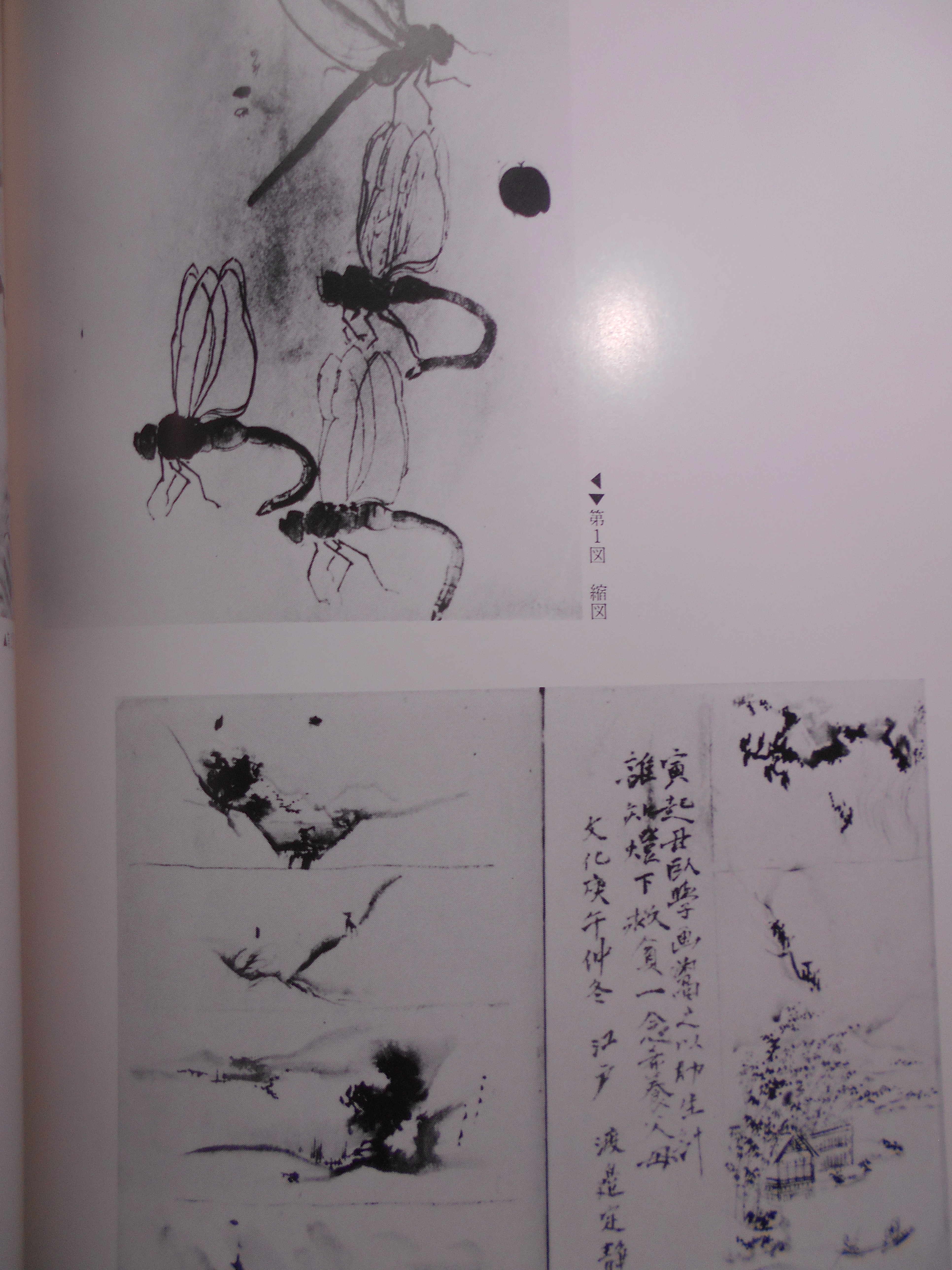 図録　崋山名作展 : 特別企画　編集発行:常葉美術館　1982年刊