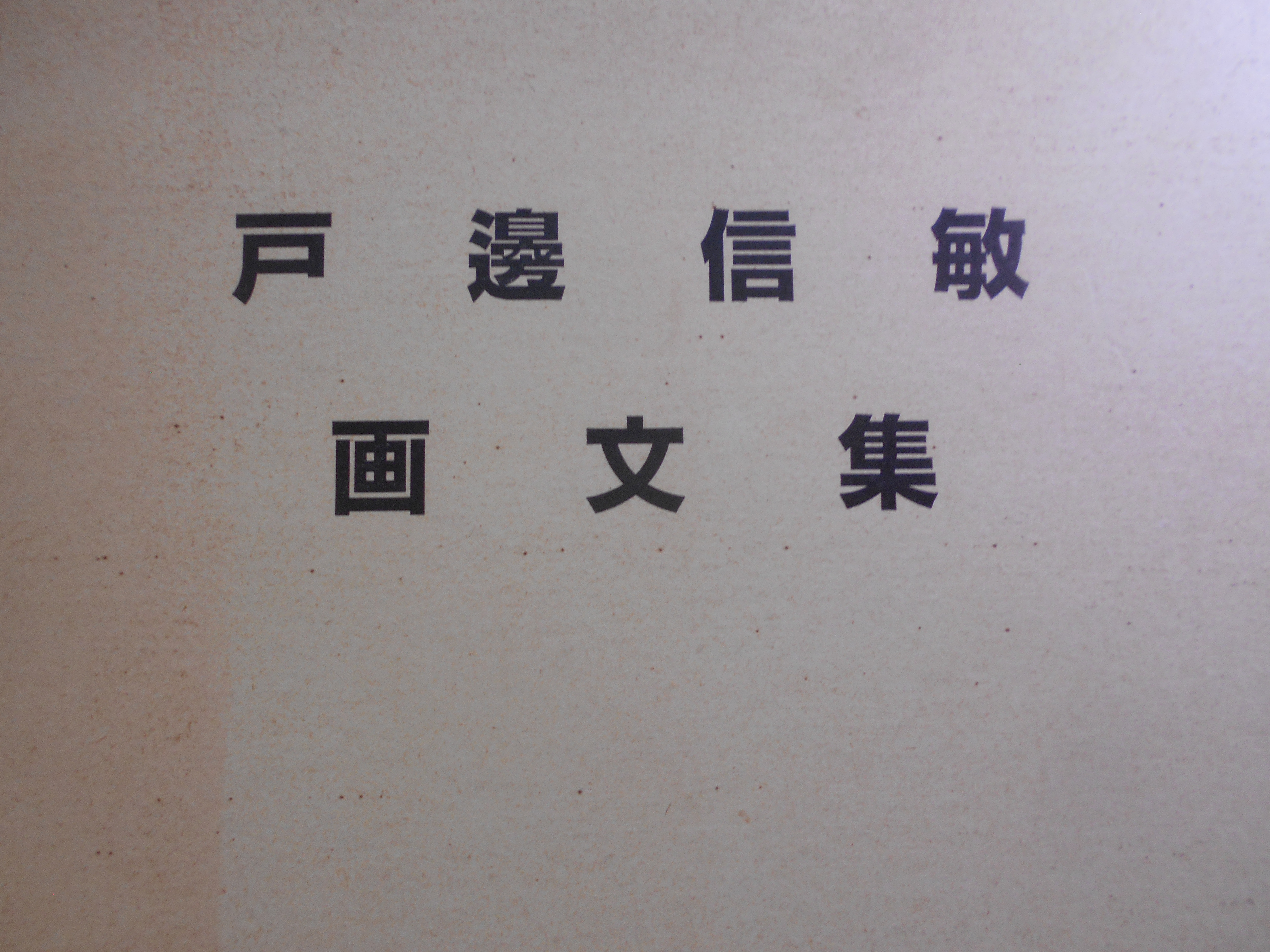 戸邊信敏画文集　六光社　平成9年刊　