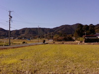 散歩ふたたび 2010/11/19 12:33:07