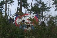 ボロボロになるまで凧揚げ 2009/11/16 19:09:54