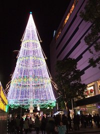 さらば冬の蛍