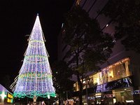 思い出深き一年 2009/12/31 21:34:45