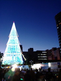 澄んだ空気と 2009/11/14 22:03:44