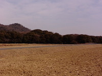 散歩汗 ばむ陽気です 2010/02/10 12:44:43