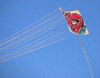 11月3日の凧揚げ練習 2010/11/10 00:20:29