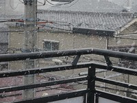 吹雪きましたね 2011/01/16 14:56:25