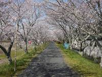 まだまだ寒いですね 2012/03/28 01:06:33