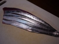 もち鰹　ゲット 2010/07/25 21:10:35