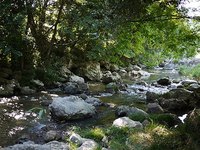 夏に間に合った！ 2010/08/30 23:32:19