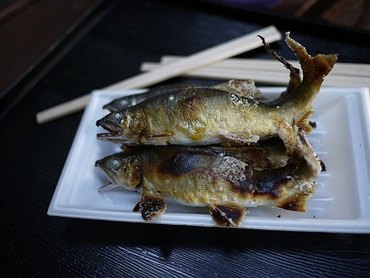 夏に間に合った！