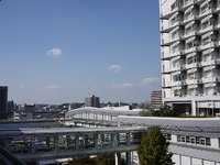 碧風祭 2010/11/08 23:27:17