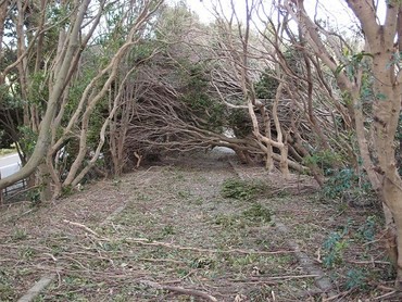 ちょっと川の様子を見に・・・