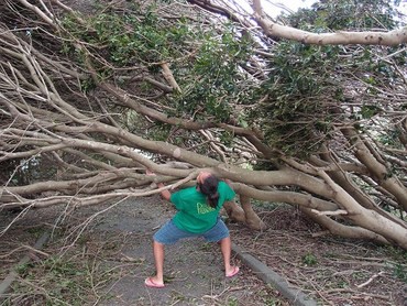 ちょっと川の様子を見に・・・