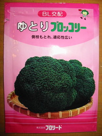 種まきの季節です。