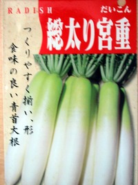 秋野菜の季節