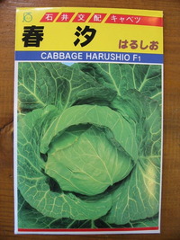 種まきの季節です。