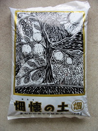 にんにくニンニクプランター栽培