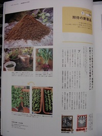 野菜の達人