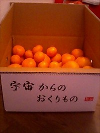 門松の竹を切る