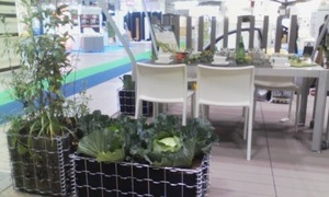 展示会　土も生活も育てる