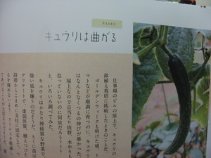 とれたて野菜手帖