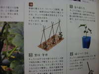 とれたて野菜手帖