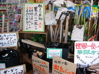 様子