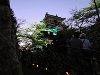 一夜限りの浜松城