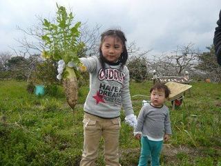 合同作業日です！