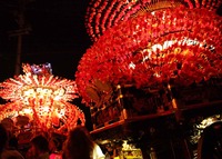 2011.祭