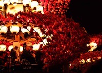 2011.祭